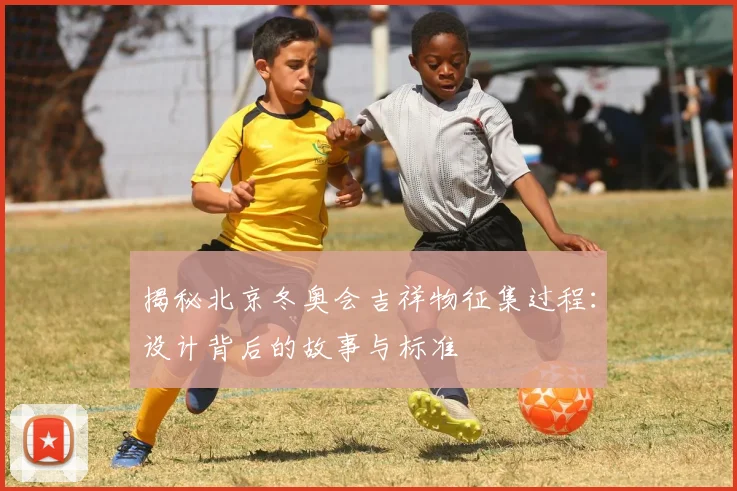 揭秘北京冬奥会吉祥物征集过程：设计背后的故事与标准